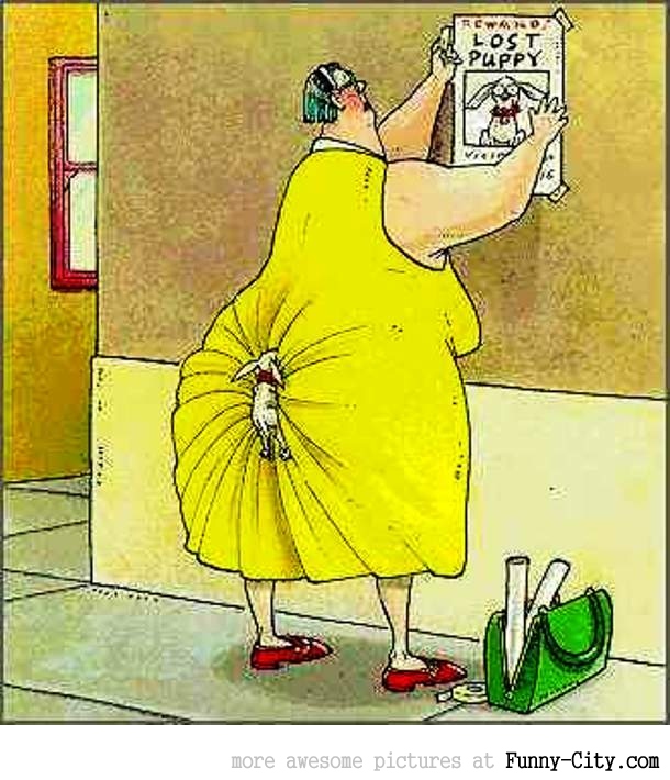 Urteil zu Schweinehaltung: Zuchtsauen, die trächtig sind oder ihre